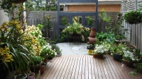 murrumbeena-small-courtyard-garden-after